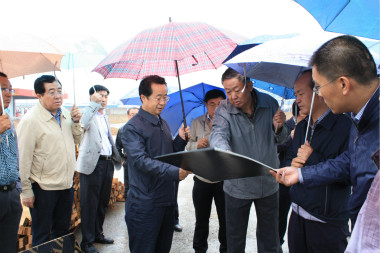 陆治原市长冒雨视察   市政工程进展顺利