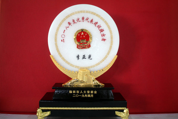 李亚光同志被授予“优秀代表建议提出者”称号