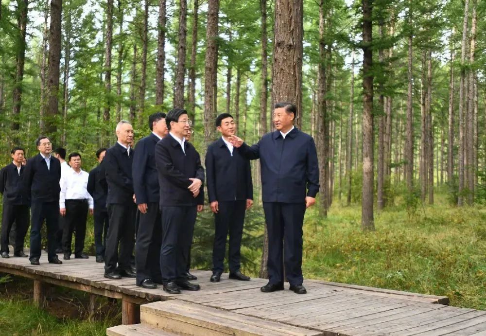 习近平：发扬塞罕坝精神，把绿色经济和生态文明发展好