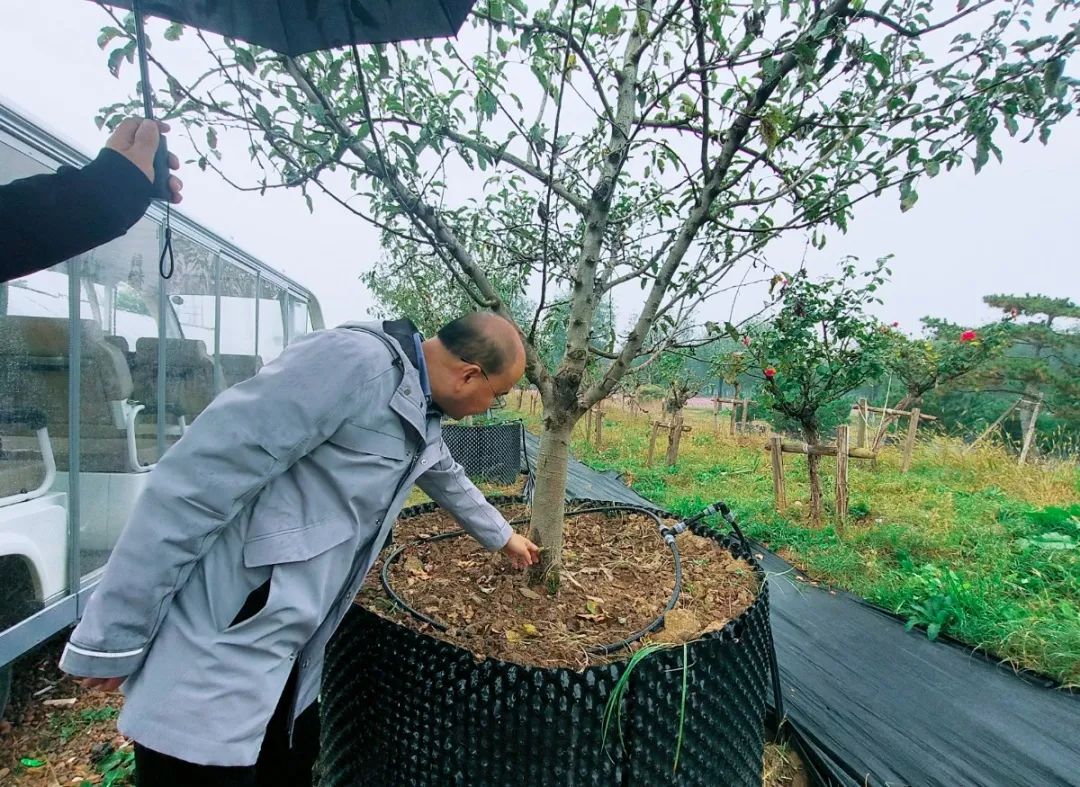 西农唐光辉教授赴基泰园林进行植保技术指导